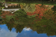 水面で紅葉を愛でる