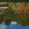 水面で紅葉を愛でる