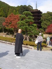 坊さんもスニーカー