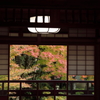 座敷から