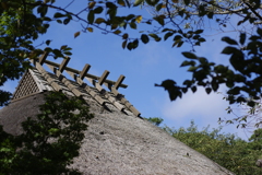 まだまだ、夏空
