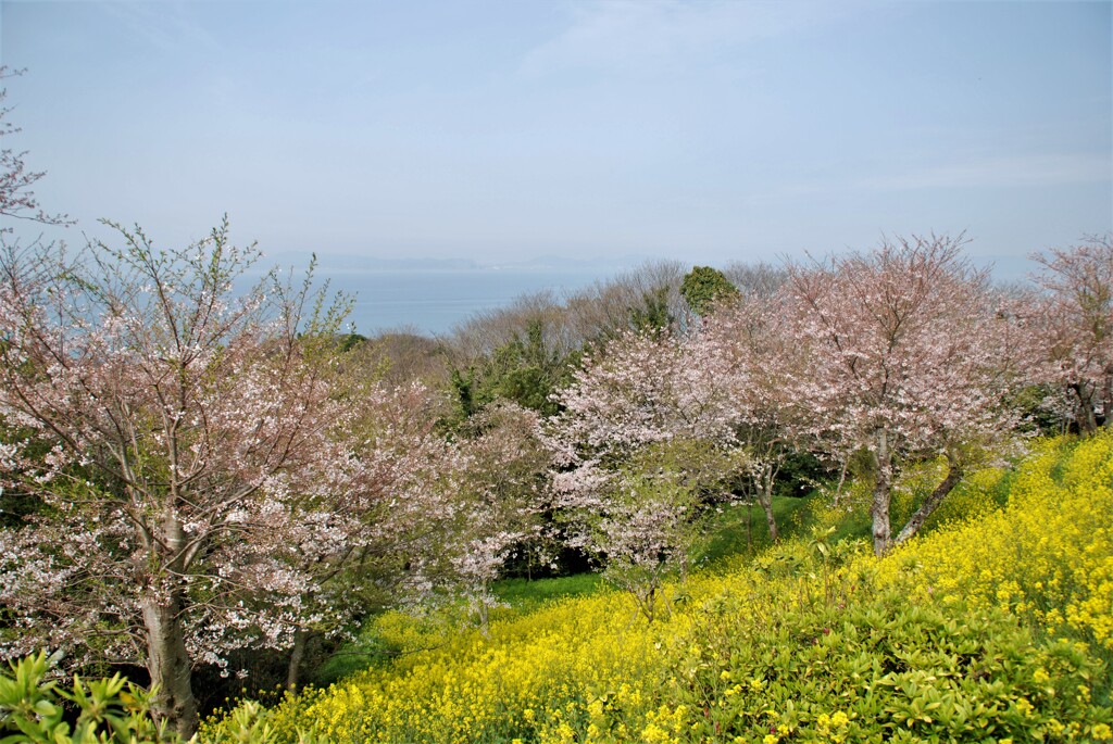 穏やかに晴れやかに