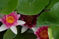 ちょっとはずかしい