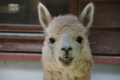 見つめあう二人（笑）