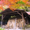 秋の窯場