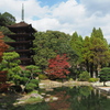 瑠璃光寺から