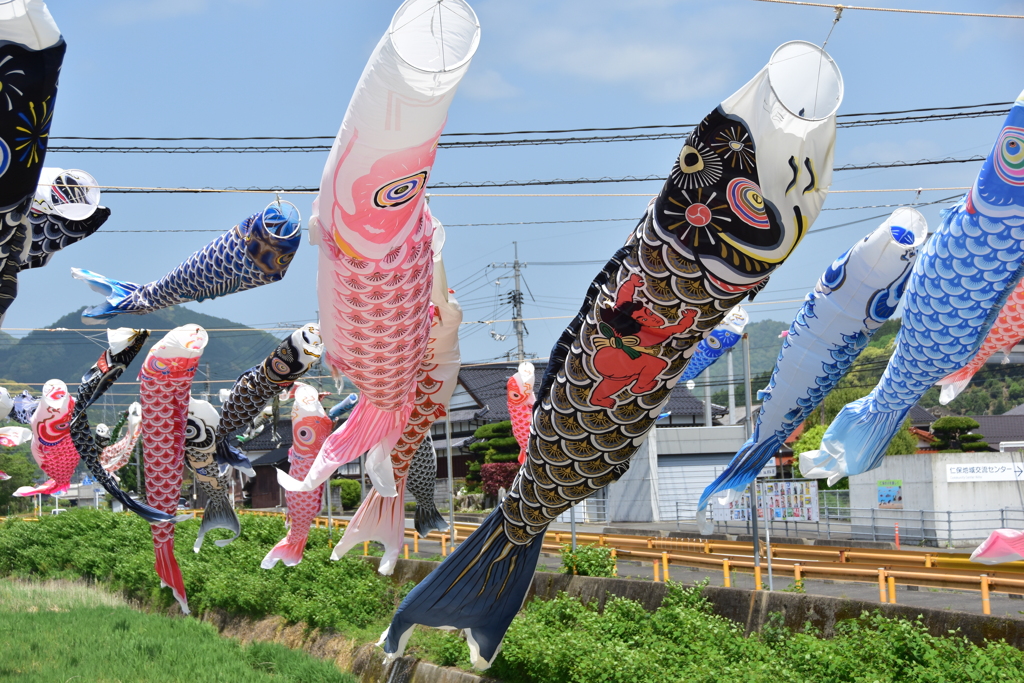 金太郎頑張れ