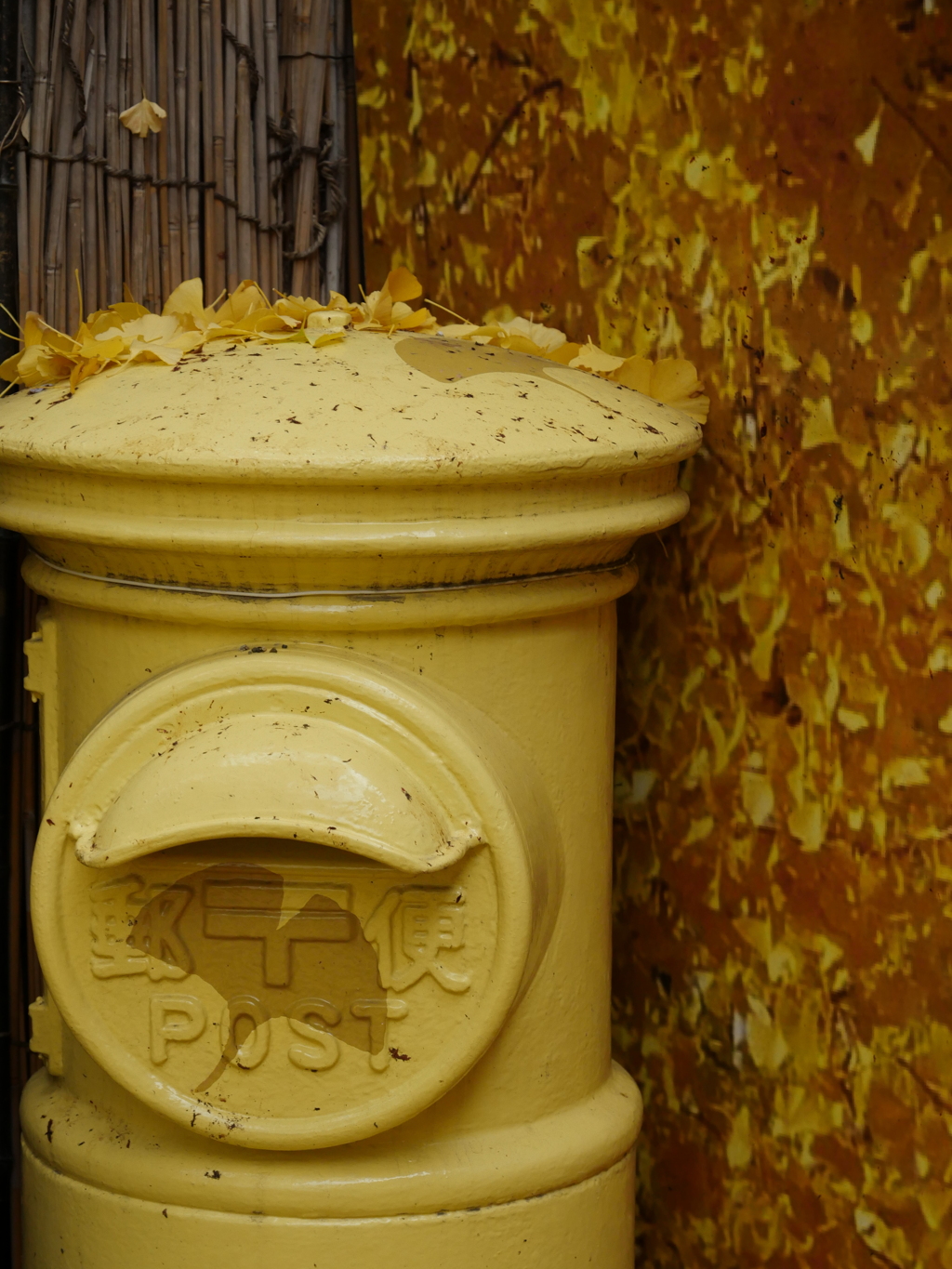 銀杏のポストにはどんな手紙が