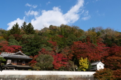 堀庭園色付く