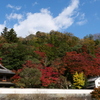 堀庭園色付く