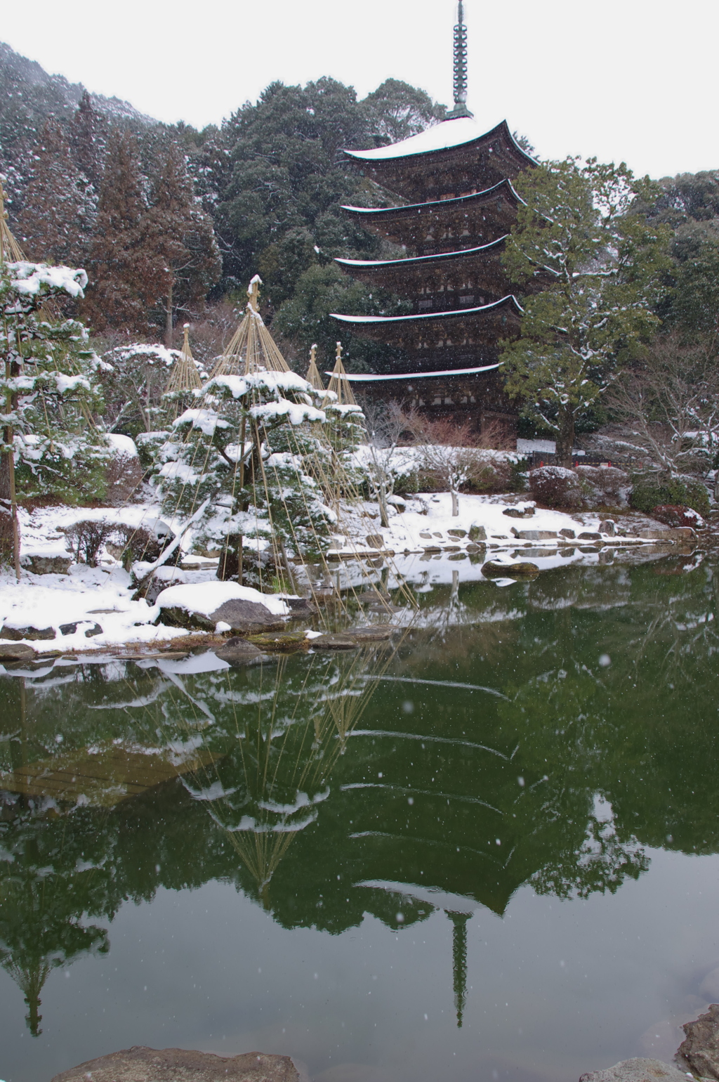 雪景