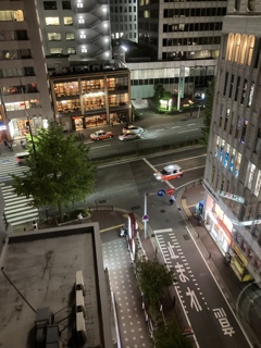 ホテルの窓からおとなしく