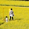 春の夢