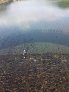 川の中の錦帯橋