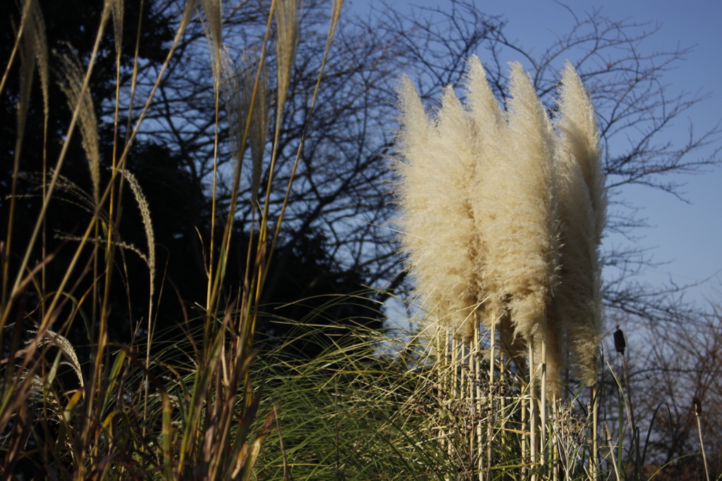 一歩一景（18）