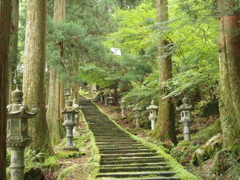 苔の参道