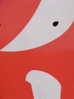 影
