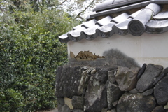 萩寸景（1）