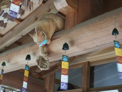 猫寺（雲林寺）から