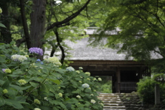清閑