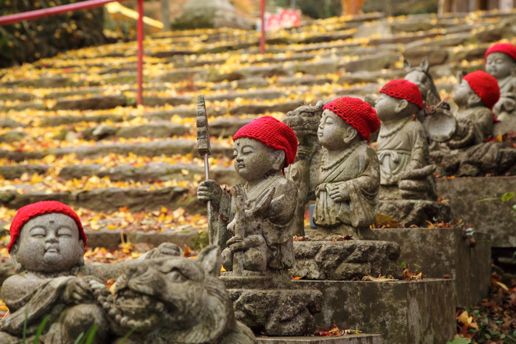 銀杏の落ち葉を眺めながら