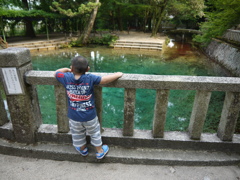 弁天池をみつめる