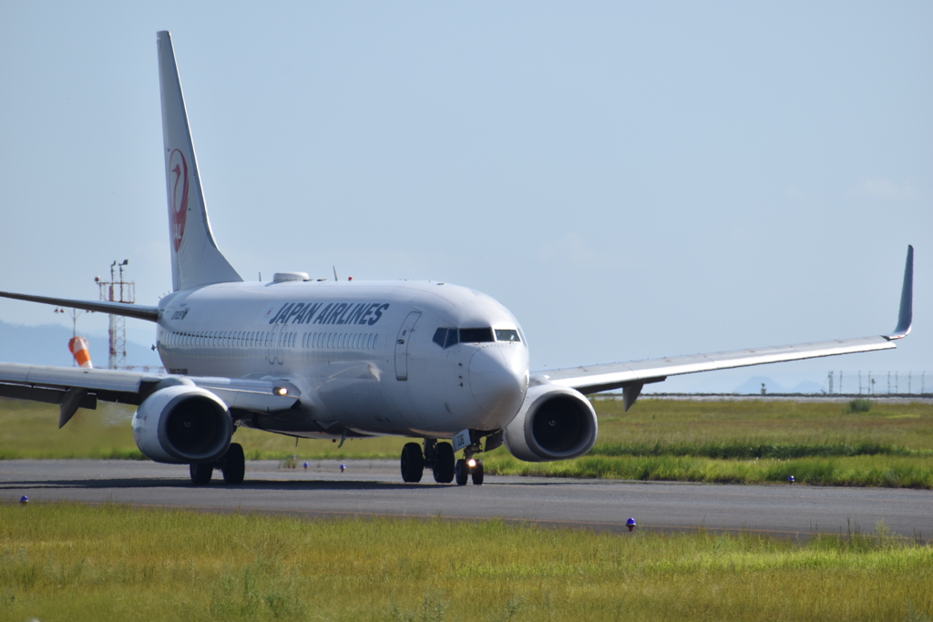 初飛行機撮り（JAL)