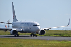 初飛行機撮り（JAL)