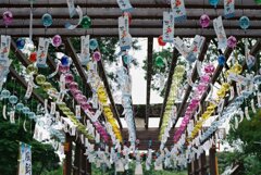 雨の止み間の風鈴祭り