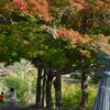 鷺舞いの街で