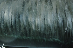 私も洗って欲しい