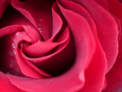 深紅、深淵