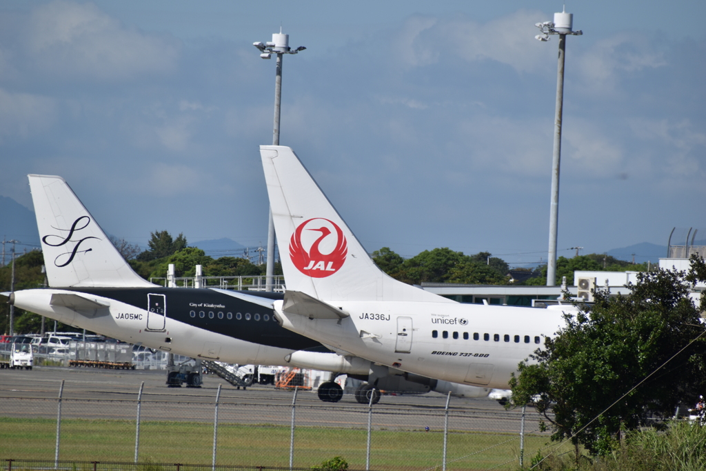 スタフラ＆JAL
