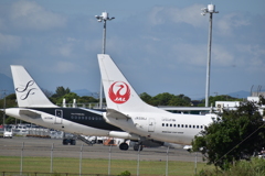 スタフラ＆JAL