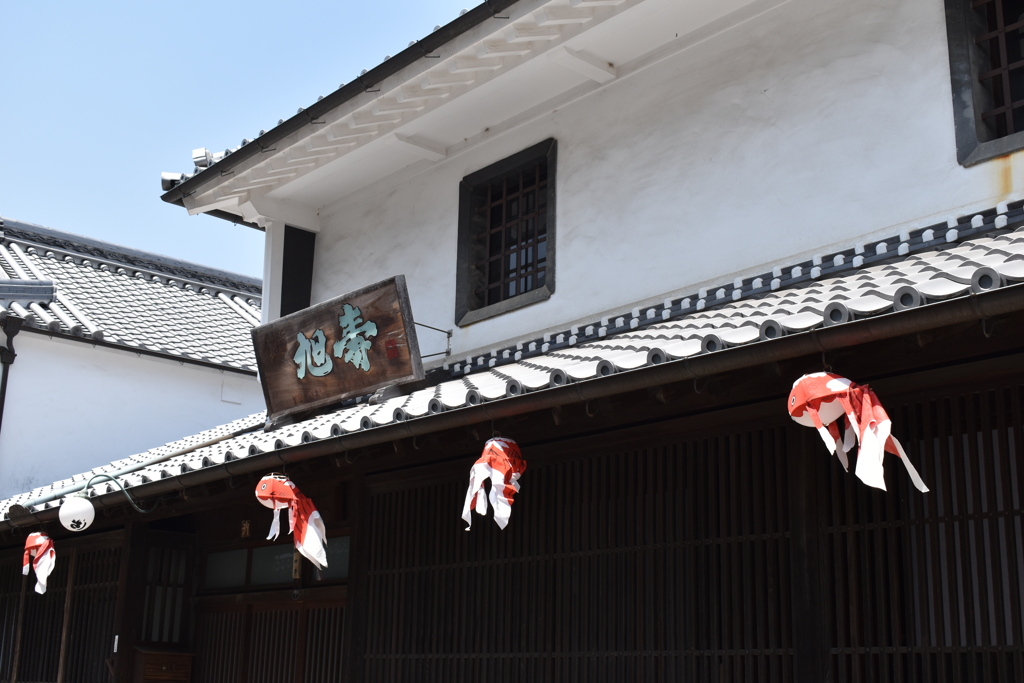 金魚提灯のある街