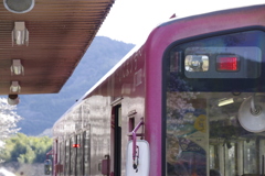 春紀行（ひだまり号）