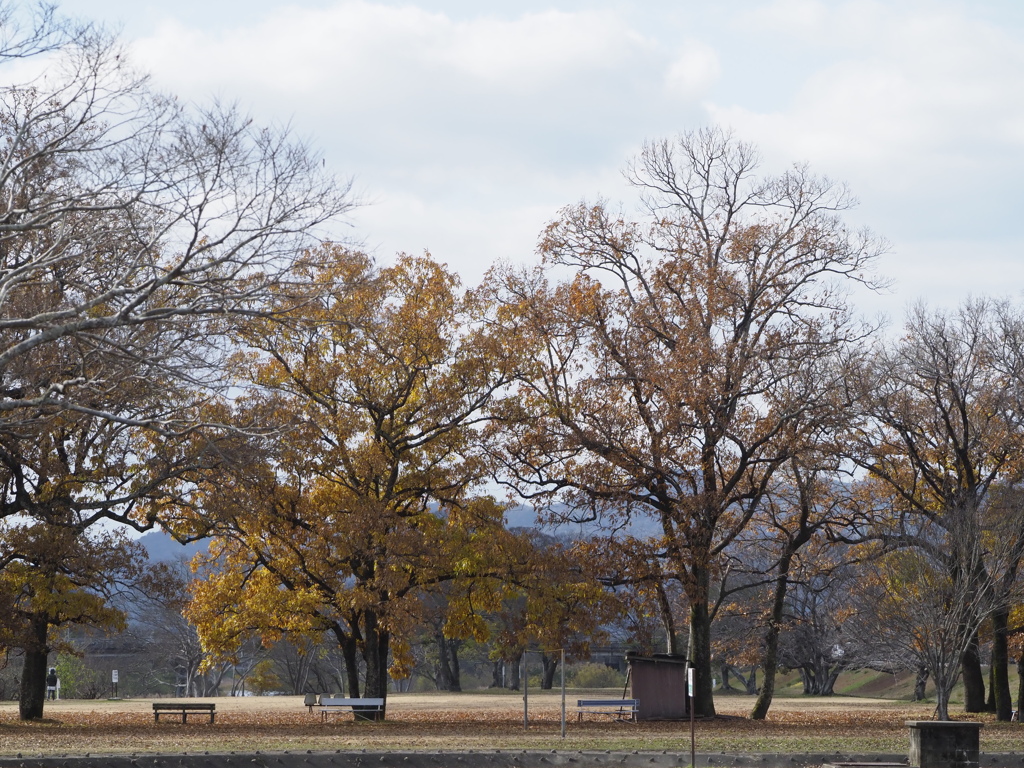 季節が通りすぎた公園