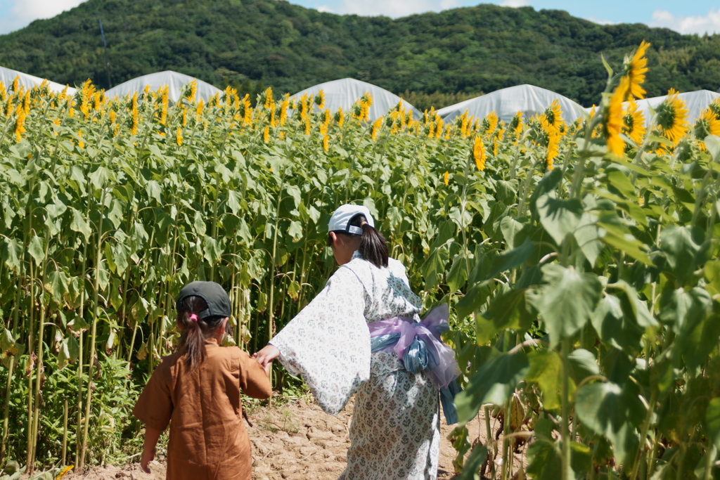 暑い夏の想い出