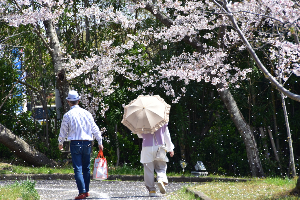 うしろ姿