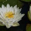 ひとやすみ