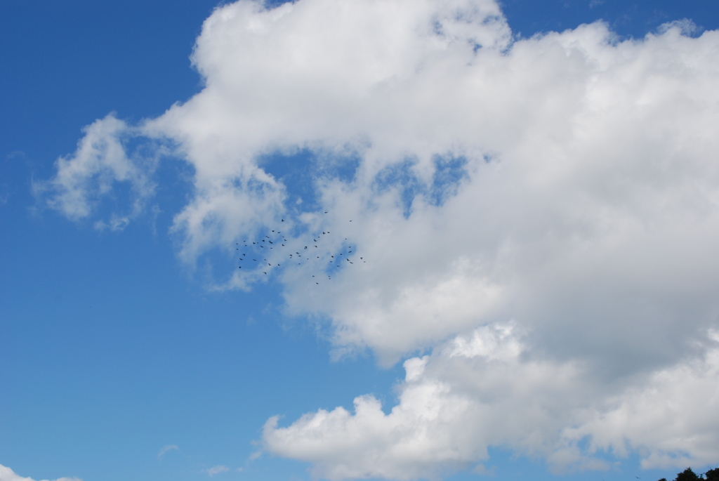 雲に食われるぞ