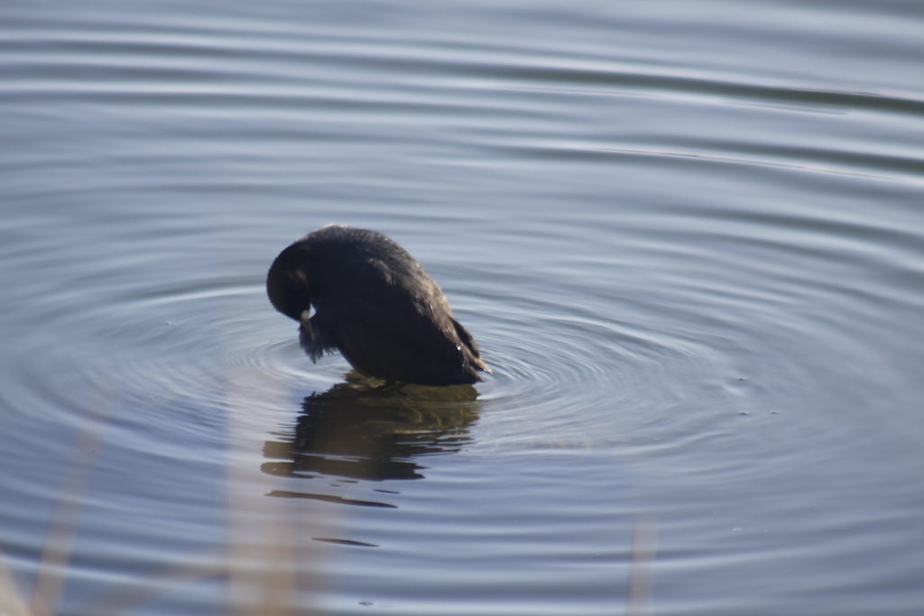 身だしなみチェック