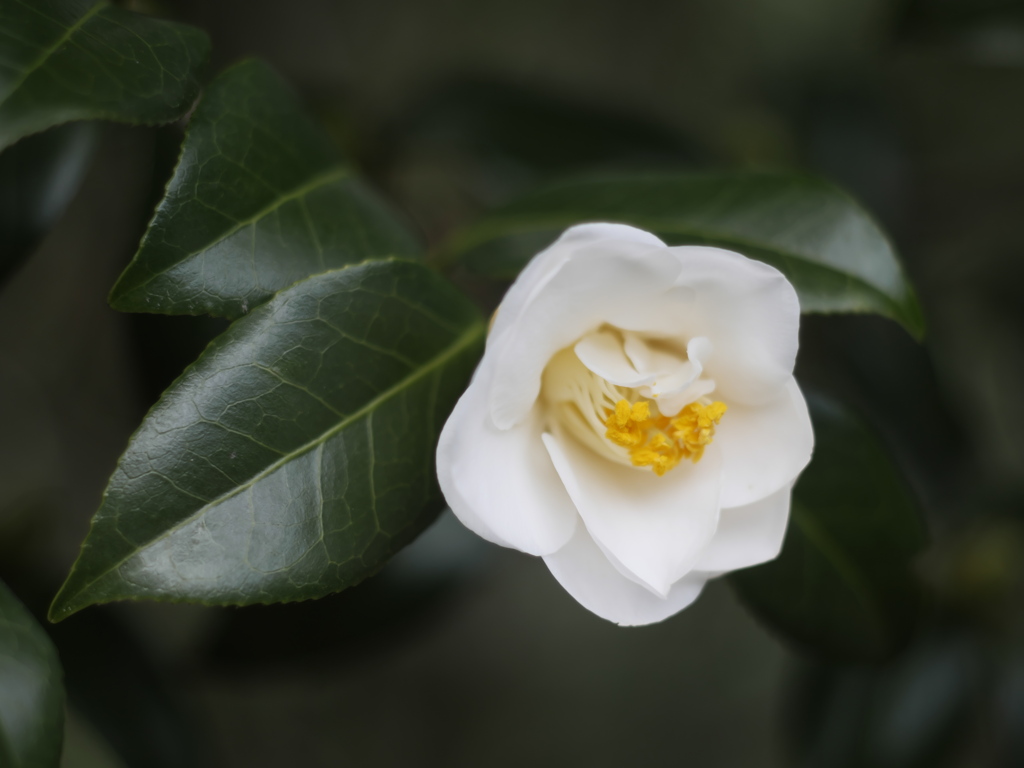 静けさの中の静けさ