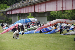 五月五日の景