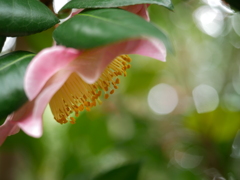 春陽のなかで（2）