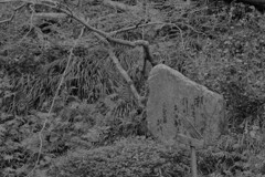 一歩一景（28）