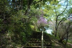 登った先に