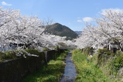 おくりもの