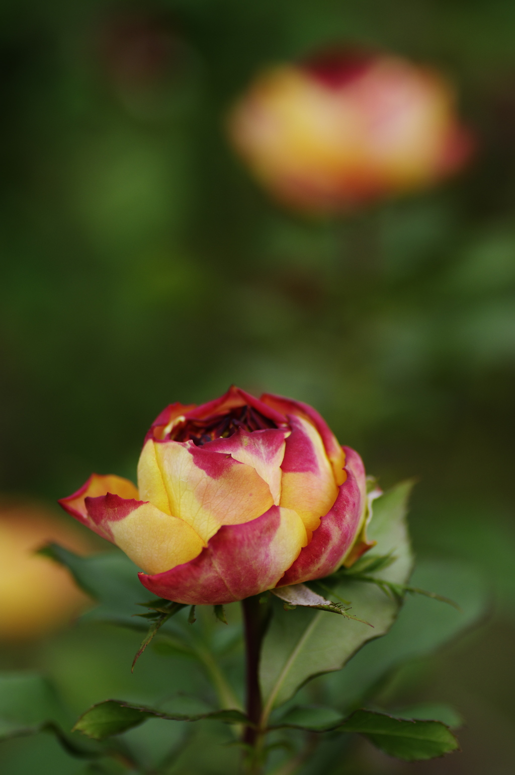 もう少しまって