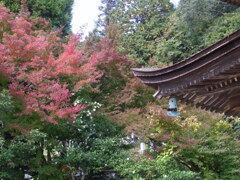瑠璃光寺景（3）